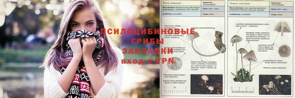 МДМА Козловка
