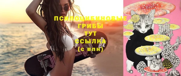 МДМА Козловка