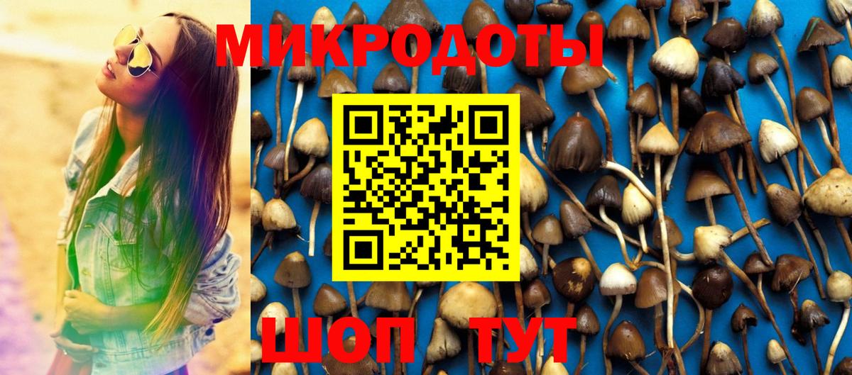 Галлюциногенные грибы Magic Shrooms Мегион