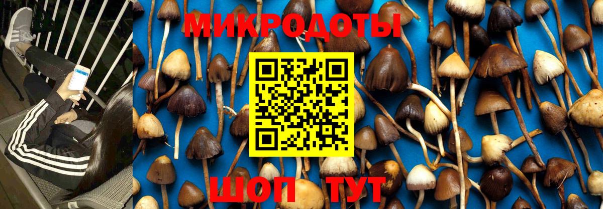 Мегион  Псилоцибиновые грибы MAGIC MUSHROOMS  Вход с VPN 